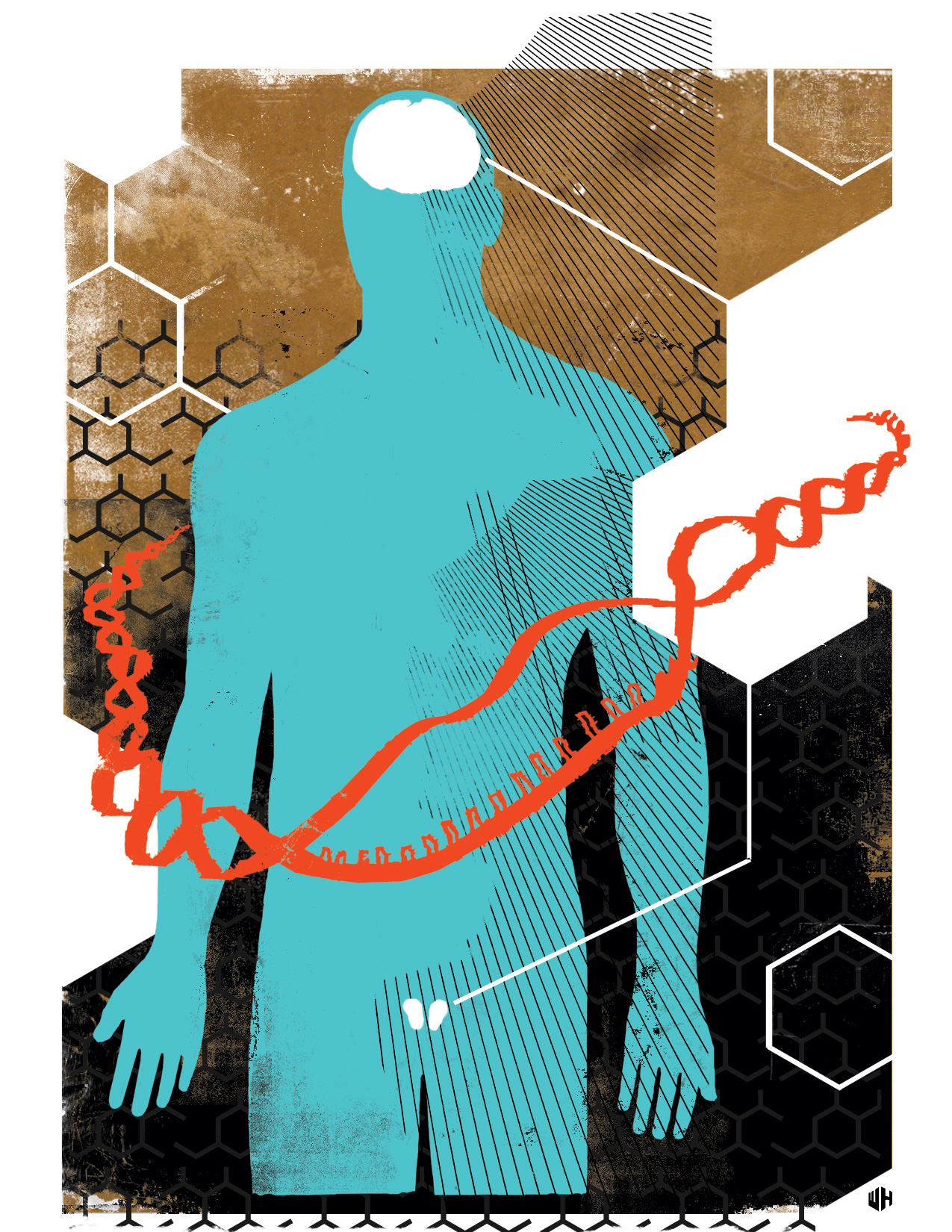 AHMFR Enzyme artwork