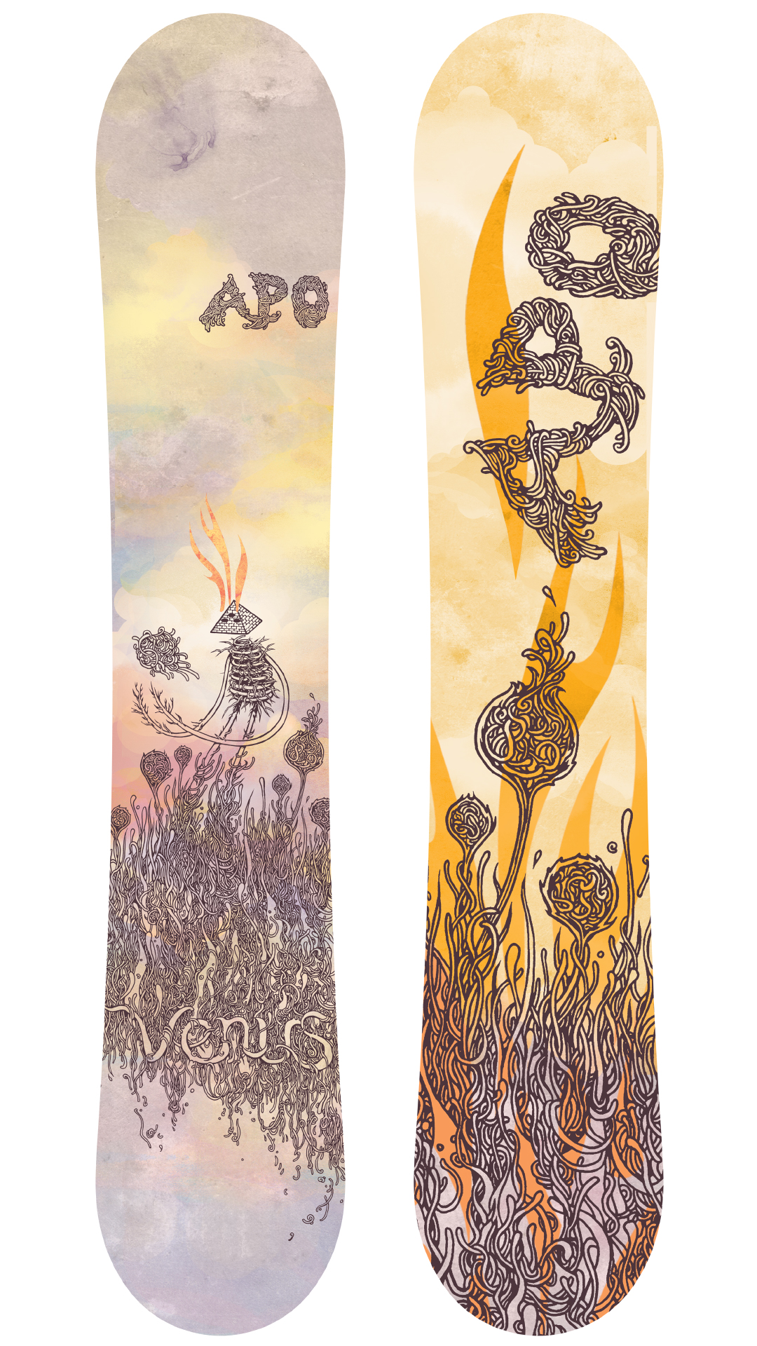 APO Sporeman snowboard top and base artwork
